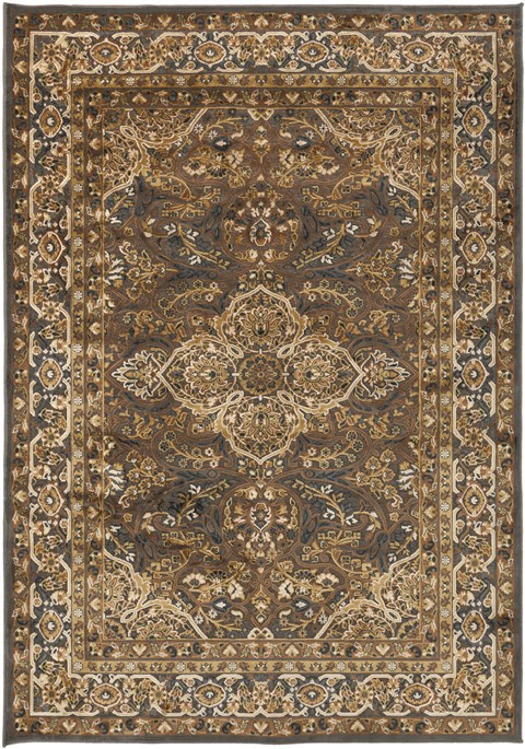 Surya Basilica Brown 76 X 106 Area Rug BSL7202-76106 800-36618 Image 0