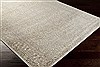 Surya Basilica White 52 X 76 Area Rug BSL7203-5276 800-36620 Thumb 1