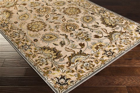 Surya Basilica Brown 76 X 106 Area Rug BSL7210-76106 800-36636 Image 1