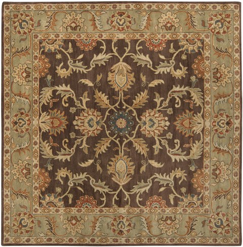 Surya Caesar Brown Square 40 X 40 Area Rug CAE1009-4SQ 800-36900 Image 0