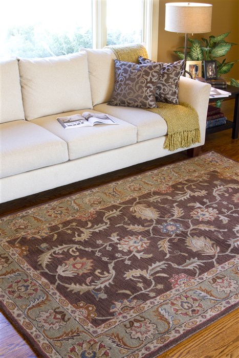 Surya Caesar Brown Oval 80 X 100 Area Rug CAE1009-810OV 800-36907 Image 2