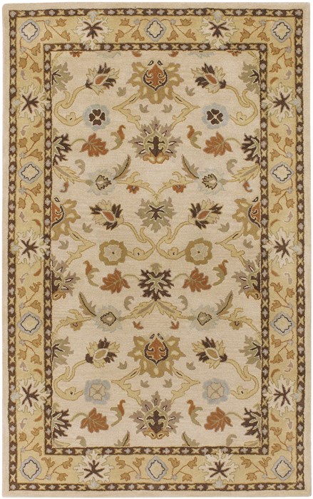 Surya Caesar White 60 X 90 Area Rug CAE1010-69 800-36924 Image 0