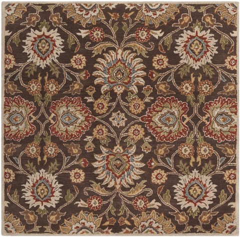 Surya Caesar Brown Square 40 X 40 Area Rug CAE1051-4SQ 800-37210 Image 0