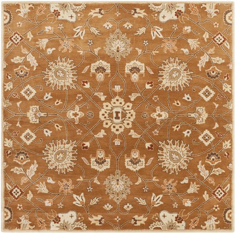 Surya Caesar Brown Square 60 X 60 Area Rug CAE1120-6SQ 800-37920 Image 0