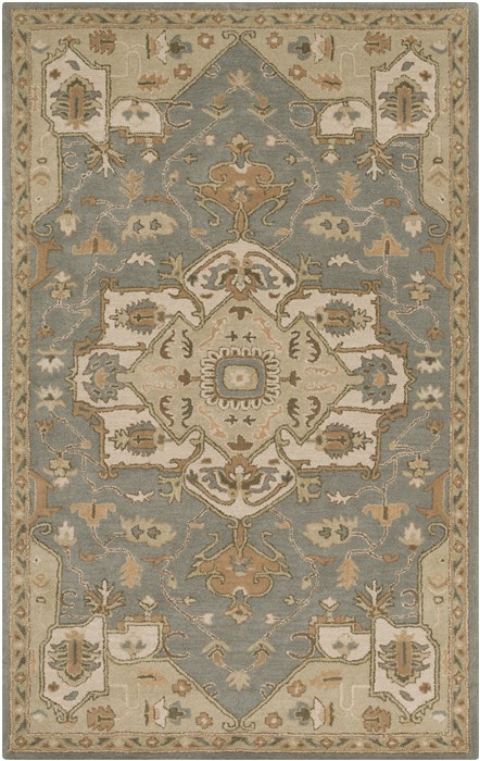 Surya Caesar Multicolor 40 X 60 Area Rug CAE1144-46 800-38243 Image 0