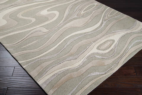 Surya Modern Classics Grey 33 X 53 Area Rug CAN1927-3353 800-38515 Image 1