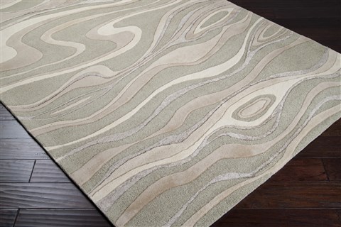 Surya Modern Classics Grey 90 X 130 Area Rug CAN1927-913 800-38518 Image 1