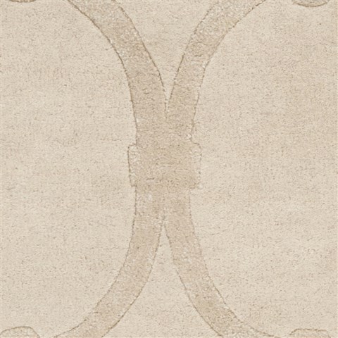 Surya Modern Classics White 90 X 130 Area Rug CAN1991-913 800-38678 Image 2