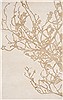 Surya Modern Classics White 20 X 30 Area Rug CAN2004-23 800-38709 Thumb 0