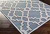 Surya Modern Classics Grey 20 X 30 Area Rug CAN2056-23 800-39003 Thumb 1