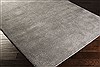 Surya Cambria Grey 36 X 56 Area Rug CBR8708-3656 800-39410 Thumb 1