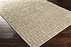 Surya Castlebury White 33 X 53 Area Rug CBY7006-3353 800-39459 Thumb 1