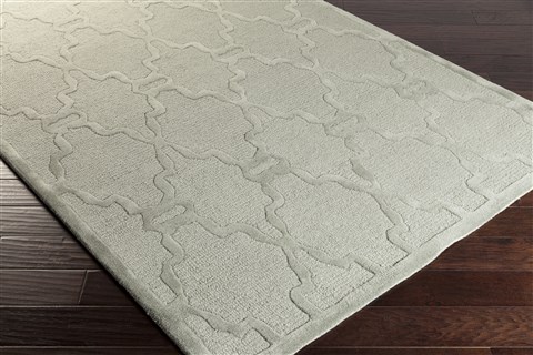 Surya Chandler Grey 50 X 80 Area Rug CHA4003-58 800-39576 Image 1