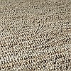 Surya Continental Brown 20 X 30 Area Rug COT1931-23 800-41045 Thumb 3