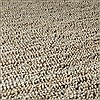 Surya Continental Brown Round 80 X 80 Area Rug COT1931-8RD 800-41049 Thumb 2