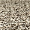 Surya Continental Brown Round 80 X 80 Area Rug COT1931-8RD 800-41049 Thumb 2