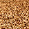 Surya Continental Orange 80 X 110 Area Rug COT1934-811 800-41069 Thumb 3