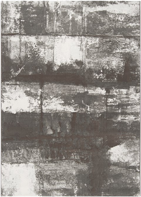 Surya Contempo Green 311 X 57 Area Rug CPO3700-31157 800-41109 Image 0