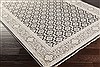 Surya Cappadocia Grey 36 X 56 Area Rug CPP5000-3656 800-41145 Thumb 1