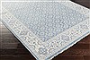 Surya Cappadocia Grey 56 X 86 Area Rug CPP5001-5686 800-41151 Thumb 1
