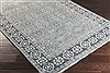 Surya Cappadocia Green 20 X 30 Area Rug CPP5012-23 800-41204 Thumb 1