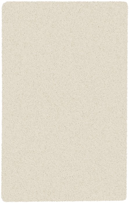 Surya Crinkle White 20 X 30 Area Rug CRK1601-23 800-41249 Image 0