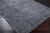 Surya Crinkle Grey 20 X 30 Area Rug CRK1604-23 800-41276 Thumb 1
