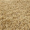 Surya Crinkle White 50 X 80 Area Rug CRK1605-58 800-41289 Thumb 2