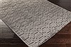 Surya Crystal Grey 50 X 80 Area Rug CRY2000-58 800-41463 Thumb 1