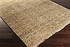 Surya Cheshire Green 20 X 30 Area Rug CSH6007-23 800-41503 Thumb 1