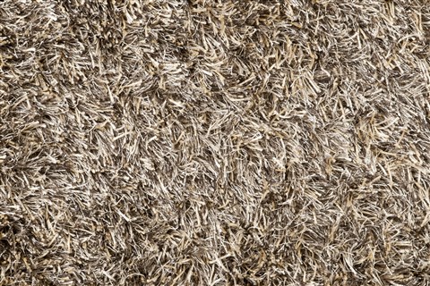 Surya Casper Yellow 20 X 30 Area Rug CSP4001-23 800-41528 Image 3