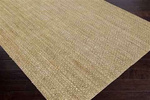 Surya Country Jutes Yellow 36 X 56 Area Rug CTJ2001-3656 800-41551 Image 1