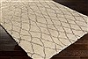 Surya Denali Grey 50 X 80 Area Rug DEN5004-58 800-41882 Thumb 1