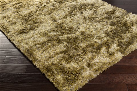 Surya Dunes Green 50 X 80 Area Rug DNE3521-58 800-41926 Image 1