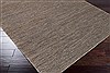 Surya Dominican Grey 20 X 30 Area Rug DOC1001-23 800-41980 Thumb 1