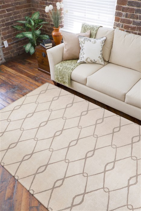 Surya Fallon Brown 50 X 80 Area Rug FAL1015-58 800-43153 Image 2
