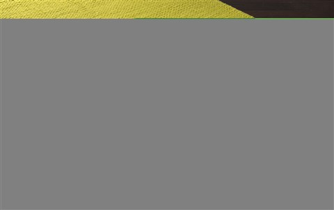 Surya Fargo Green 50 X 80 Area Rug FARGO110-58 800-43593 Image 1