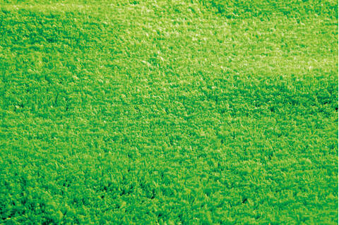 Surya Flow Green 20 X 30 Area Rug FLW2003-23 800-43658 Image 2