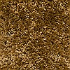 Surya Grizzly Brown 80 X 100 Area Rug GRIZZLY3-810 800-46723 Thumb 2