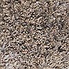 Surya Grizzly Grey 20 X 30 Area Rug GRIZZLY6-23 800-46724 Thumb 4