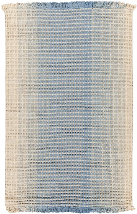 Surya Hannah White 40 X 60 Area Rug HAN6000-46 800-46809 Image 0