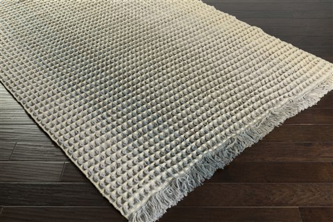 Surya Hannah White 20 X 30 Area Rug HAN6001-23 800-46812 Image 1