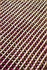 Surya Hannah Purple 20 X 30 Area Rug HAN6002-23 800-46816 Thumb 5