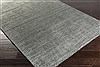 Surya Haize Green 50 X 80 Area Rug HAZ6009-58 800-46861 Thumb 1