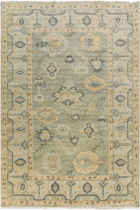 Surya Hillcrest Green 90 X 130 Area Rug HIL9017-913 800-47328 Image 0