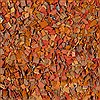 Surya Hobo Red 20 X 30 Area Rug HOBO3002-23 800-47409 Thumb 2