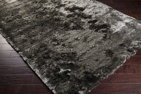 Surya Jasper Black 20 X 30 Area Rug JSP8002-23 800-48999 Image 1