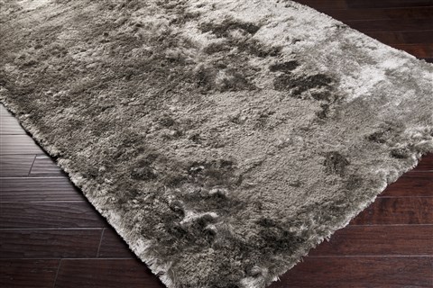 Surya Jasper Grey 50 X 80 Area Rug JSP8003-58 800-49005 Image 1