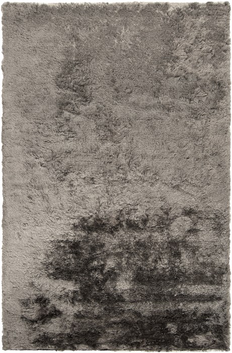 Surya Jasper Grey 50 X 80 Area Rug JSP8003-58 800-49005 Image 0