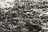 Surya Jasper Grey 50 X 80 Area Rug JSP8003-58 800-49005 Thumb 3